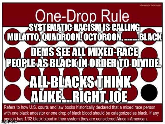 Democrats label in order to divide and obtain power | SYSTEMATIC RACISM IS CALLING MULATTO, QUADROON, OCTOROON, .........BLACK; DEMS SEE ALL MIXED-RACE PEOPLE AS BLACK IN ORDER TO DIVIDE. ALL BLACKS THINK ALIKE....RIGHT JOE | image tagged in one drop rule,democrats | made w/ Imgflip meme maker