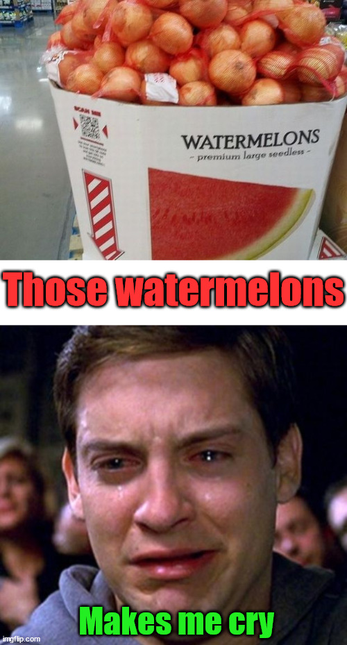Failed | Those watermelons; Makes me cry | image tagged in crying peter parker,you had one job | made w/ Imgflip meme maker
