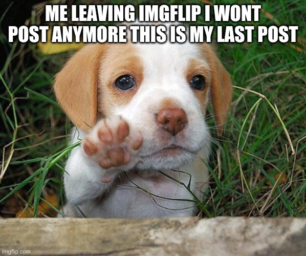 im done | ME LEAVING IMGFLIP I WONT POST ANYMORE THIS IS MY LAST POST | image tagged in dog puppy bye | made w/ Imgflip meme maker