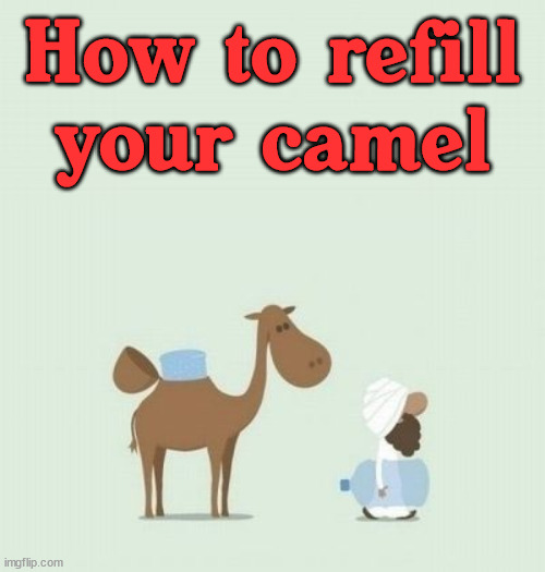 How to refill your camel | image tagged in comics/cartoons | made w/ Imgflip meme maker