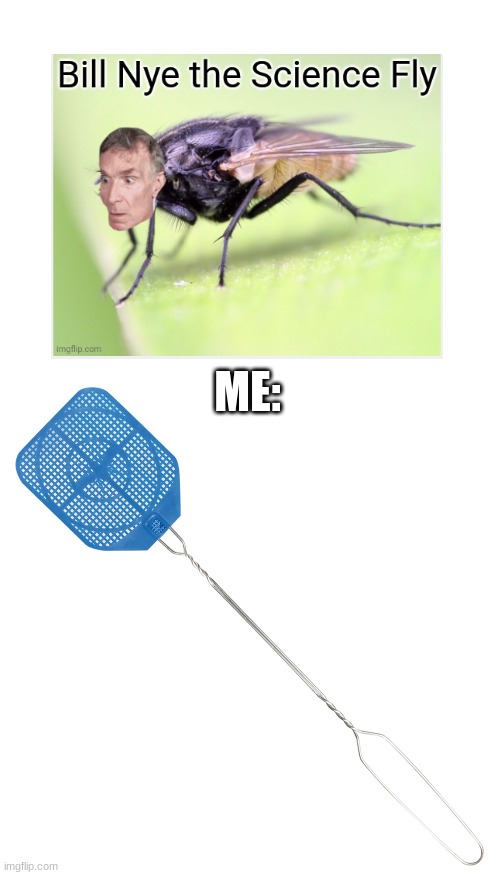 bye-bye bill | ME: | image tagged in fly swatter,sid the science kid | made w/ Imgflip meme maker