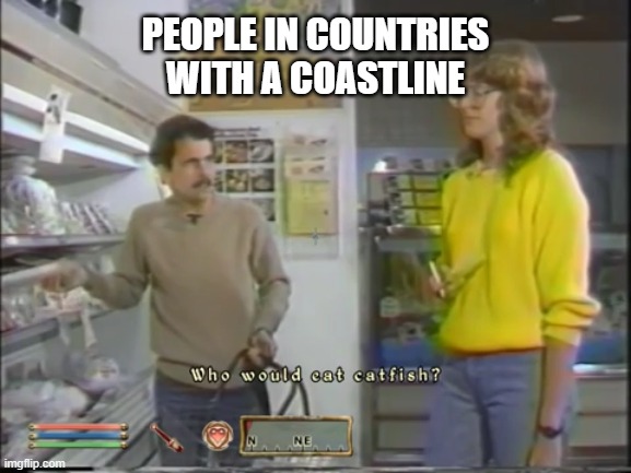 Oblivion Dialogues Catfish | PEOPLE IN COUNTRIES WITH A COASTLINE | image tagged in catfish,oblivion dialogues,greg,shopping,fish | made w/ Imgflip meme maker