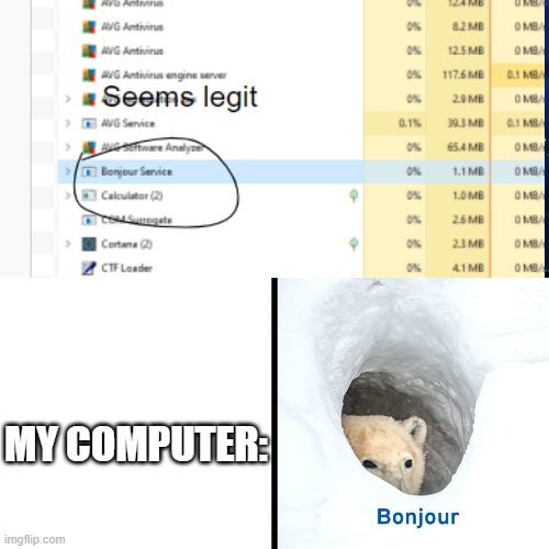 bonjour | MY COMPUTER: | image tagged in bonjour | made w/ Imgflip meme maker