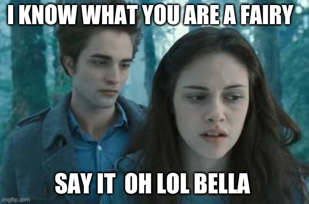 Twilight | I KNOW WHAT YOU ARE A FAIRY; SAY IT  OH LOL BELLA | image tagged in twilight | made w/ Imgflip meme maker