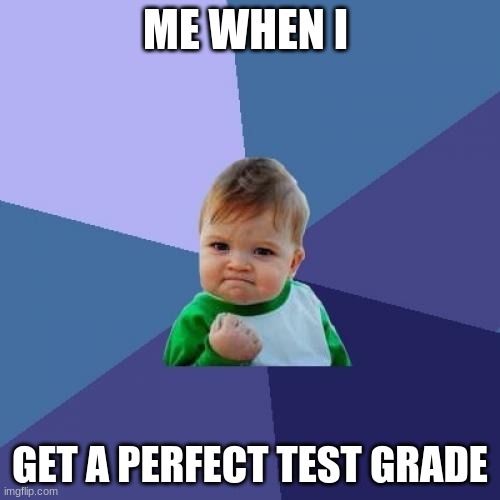 Success Kid Meme | ME WHEN I; GET A PERFECT TEST GRADE | image tagged in memes,success kid | made w/ Imgflip meme maker