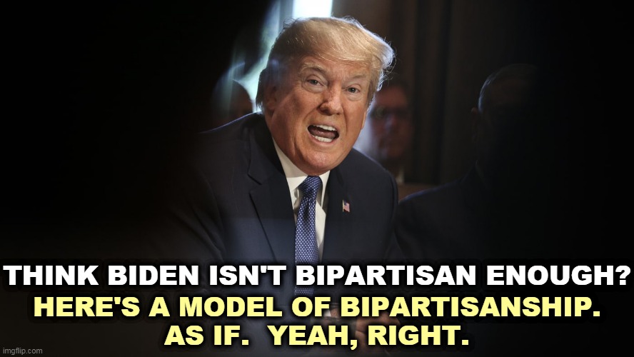 Screaming like a madman. Like he ever listened to a Democrat, ever. | THINK BIDEN ISN'T BIPARTISAN ENOUGH? HERE'S A MODEL OF BIPARTISANSHIP.
AS IF.  YEAH, RIGHT. | image tagged in trump angry shouting with teeth,trump,screaming,madman,crazy | made w/ Imgflip meme maker