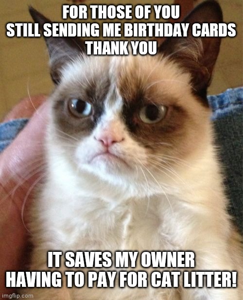 Grumpy Cat Meme | FOR THOSE OF YOU STILL SENDING ME BIRTHDAY CARDS
THANK YOU; IT SAVES MY OWNER HAVING TO PAY FOR CAT LITTER! | image tagged in memes,grumpy cat | made w/ Imgflip meme maker
