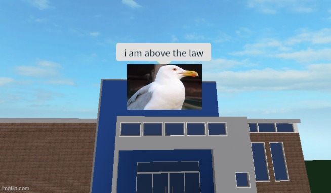 I am above the law | image tagged in i am above the law | made w/ Imgflip meme maker