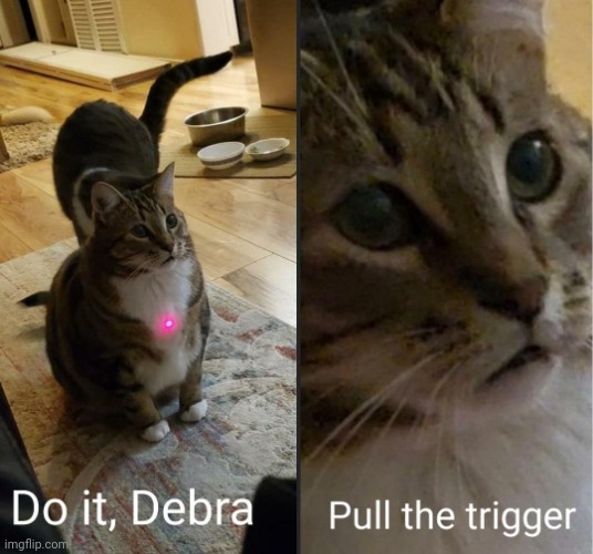 e | image tagged in do it debra pull the trigger | made w/ Imgflip meme maker