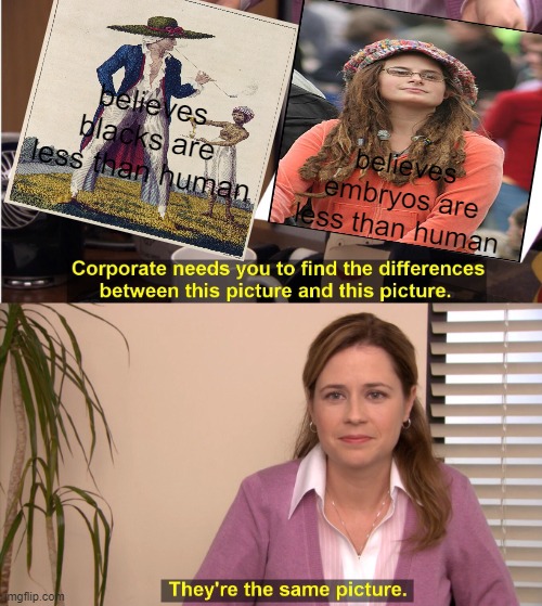They're The Same Picture Meme | believes blacks are less than human; believes embryos are less than human | image tagged in memes,they're the same picture | made w/ Imgflip meme maker