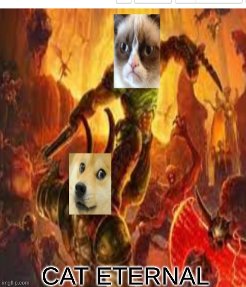 cat | CAT ETERNAL | image tagged in funny | made w/ Imgflip meme maker