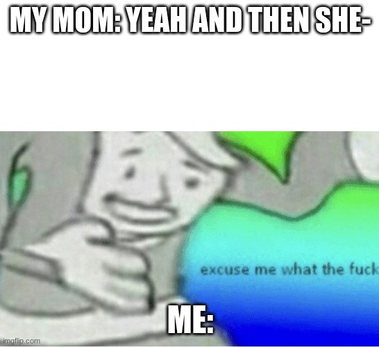 exuse me | MY MOM: YEAH AND THEN SHE-; ME: | image tagged in excuse me wtf blank template | made w/ Imgflip meme maker