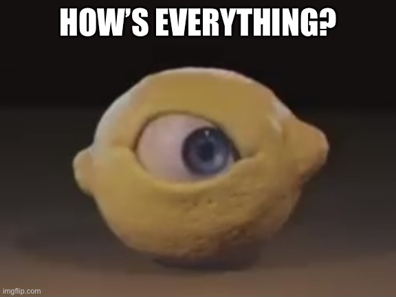Omega Mart Lemon | HOW’S EVERYTHING? | image tagged in omega mart lemon | made w/ Imgflip meme maker