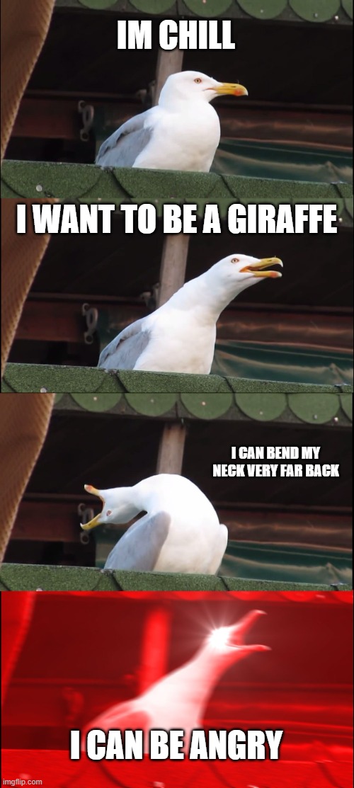 Inhaling Seagull | IM CHILL; I WANT TO BE A GIRAFFE; I CAN BEND MY NECK VERY FAR BACK; I CAN BE ANGRY | image tagged in memes,inhaling seagull | made w/ Imgflip meme maker
