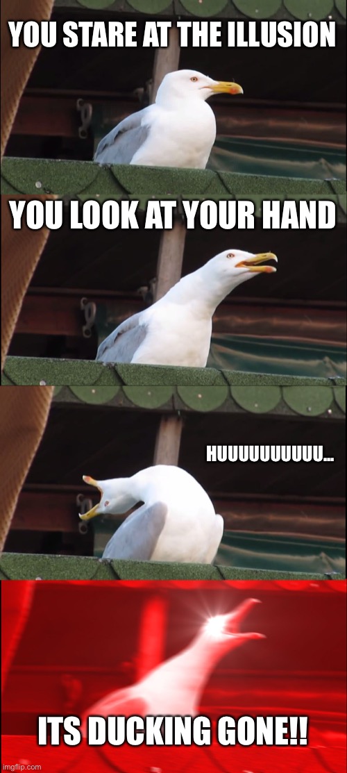 Seegull sees the illusion | YOU STARE AT THE ILLUSION; YOU LOOK AT YOUR HAND; HUUUUUUUUUU... ITS DUCKING GONE!! | image tagged in memes,inhaling seagull | made w/ Imgflip meme maker