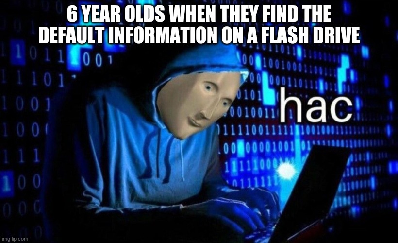 hac | 6 YEAR OLDS WHEN THEY FIND THE DEFAULT INFORMATION ON A FLASH DRIVE | image tagged in hac | made w/ Imgflip meme maker