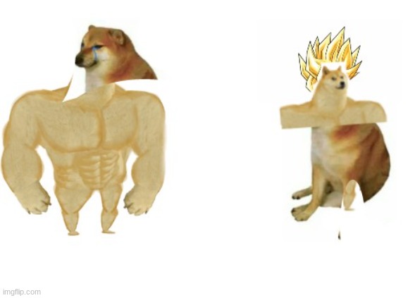 chem dog happy | image tagged in well well well how the turn tables,doge,buff doge vs cheems,mem | made w/ Imgflip meme maker