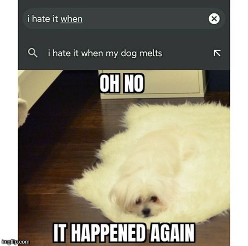 Oh no | image tagged in dog melting,google search | made w/ Imgflip meme maker