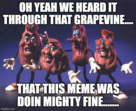 California Raisins | OH YEAH WE HEARD IT THROUGH THAT GRAPEVINE.... THAT THIS MEME WAS DOIN MIGHTY FINE....... | image tagged in california raisins | made w/ Imgflip meme maker