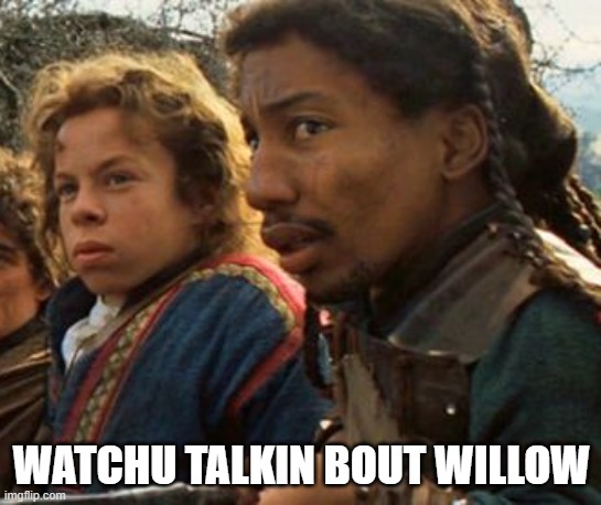 Watchu talking bout Willow | WATCHU TALKIN BOUT WILLOW | image tagged in willow,whatchu talkin bout willis | made w/ Imgflip meme maker