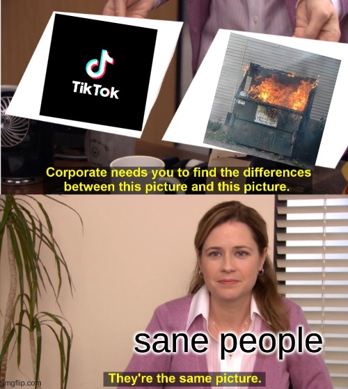 They're The Same Picture | sane people | image tagged in memes,they're the same picture | made w/ Imgflip meme maker