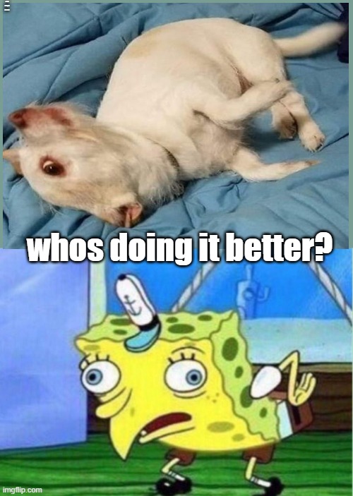 Mocking Spongebob | whos doing it better? whos doing it better? | image tagged in memes,mocking spongebob,funny memes,lol,spongebob | made w/ Imgflip meme maker