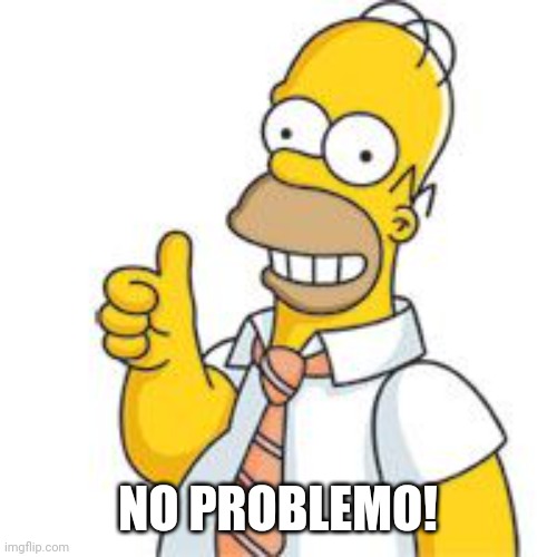 homer no problemo | NO PROBLEMO! | image tagged in homer no problemo | made w/ Imgflip meme maker