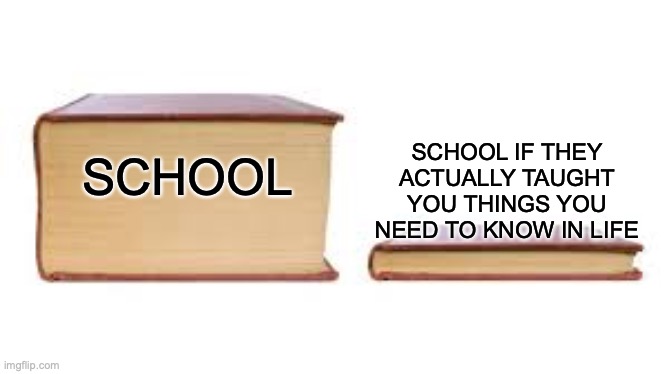 school be like | SCHOOL IF THEY ACTUALLY TAUGHT YOU THINGS YOU NEED TO KNOW IN LIFE; SCHOOL | image tagged in big book small book,memes,school | made w/ Imgflip meme maker