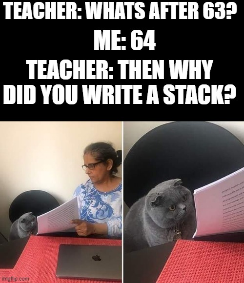 Well damnit | TEACHER: WHATS AFTER 63? ME: 64; TEACHER: THEN WHY DID YOU WRITE A STACK? | image tagged in woman showing paper to cat,minecraft,stack,64 | made w/ Imgflip meme maker