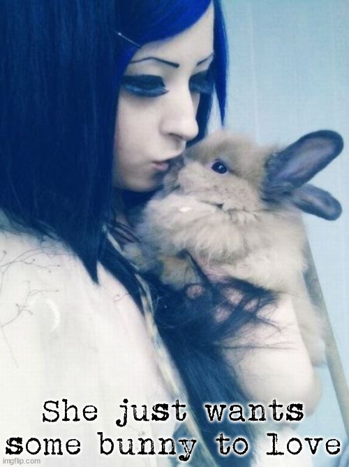 She just wants some bunny to love | image tagged in bunnies | made w/ Imgflip meme maker