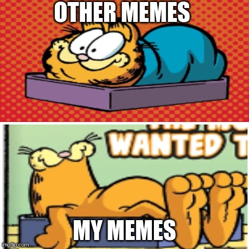 OTHER MEMES; MY MEMES | image tagged in garfield | made w/ Imgflip meme maker