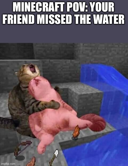... | MINECRAFT POV: YOUR FRIEND MISSED THE WATER | image tagged in dead minecraft cat meme,rip | made w/ Imgflip meme maker