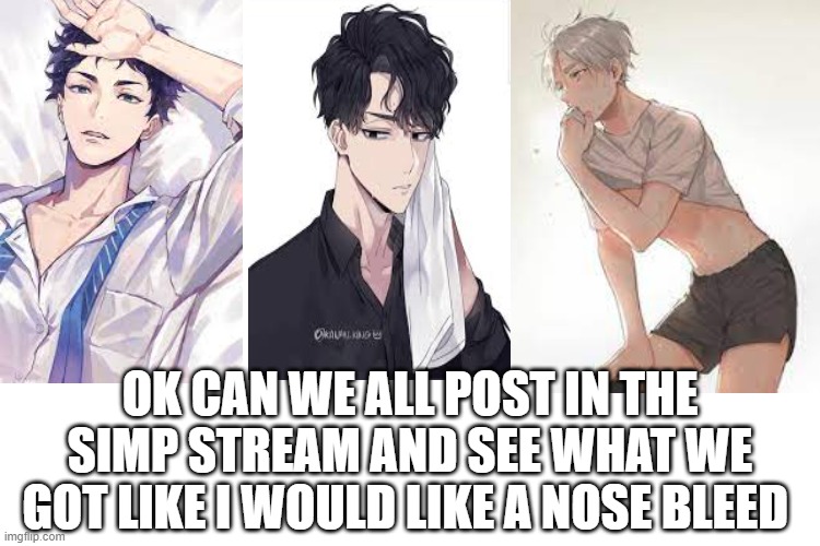 look at these hotties | OK CAN WE ALL POST IN THE SIMP STREAM AND SEE WHAT WE GOT LIKE I WOULD LIKE A NOSE BLEED | image tagged in anime | made w/ Imgflip meme maker