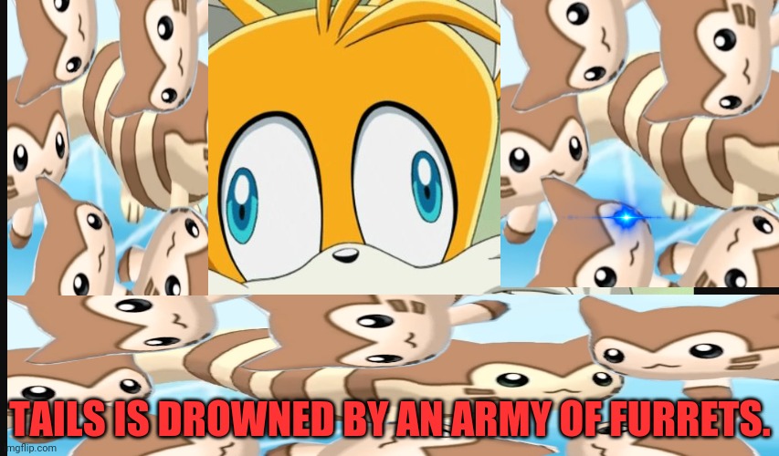 Tails vs Furret! | TAILS IS DROWNED BY AN ARMY OF FURRETS. | image tagged in sonic- derp tails,tails,furret,pokemon,sonic the hedgehog | made w/ Imgflip meme maker