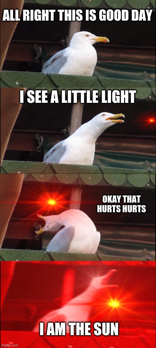 the bird that got suned | ALL RIGHT THIS IS GOOD DAY; I SEE A LITTLE LIGHT; OKAY THAT HURTS HURTS; I AM THE SUN | image tagged in memes,inhaling seagull | made w/ Imgflip meme maker