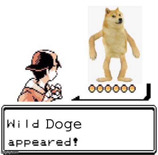 Blank Wild Pokemon Appears | Doge | image tagged in blank wild pokemon appears,doge,memes,funny,pokemon,not really a gif | made w/ Imgflip meme maker