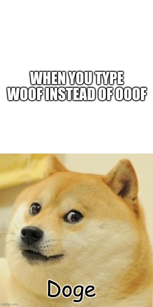 WHEN YOU TYPE WOOF INSTEAD OF OOOF; Doge | image tagged in memes,blank transparent square,doge | made w/ Imgflip meme maker