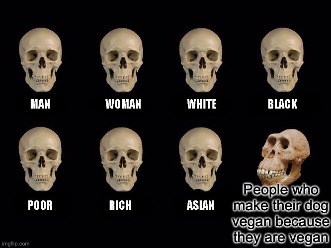 empty skulls of truth | People who make their dog vegan because they are vegan | image tagged in empty skulls of truth | made w/ Imgflip meme maker