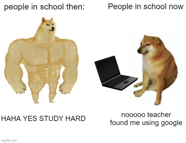 doge memes school