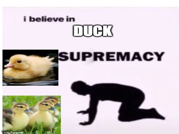 image tagged in memes,duck,i believe in supremacy | made w/ Imgflip meme maker