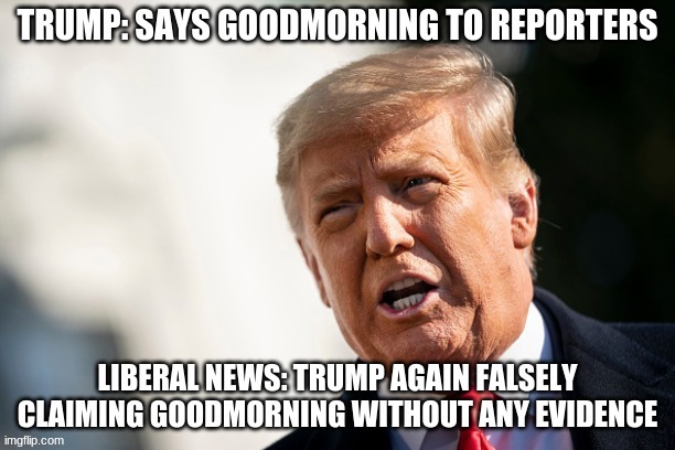 Leftists sure do love that line. | image tagged in politics,president trump | made w/ Imgflip meme maker
