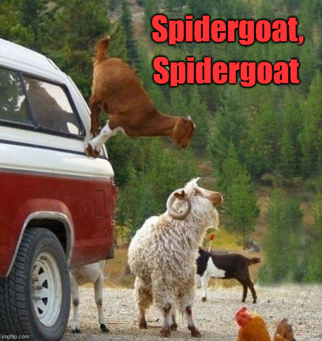 Spidergoat; Spidergoat, | image tagged in superheroes | made w/ Imgflip meme maker