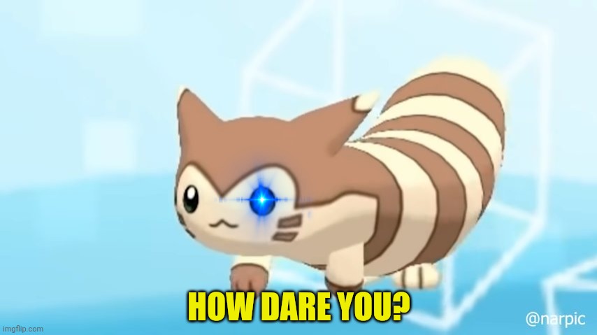Furret Walcc | HOW DARE YOU? | image tagged in furret walcc | made w/ Imgflip meme maker