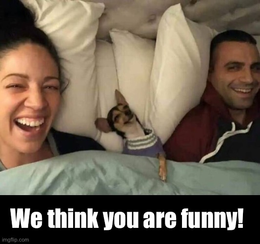We think you are funny! | made w/ Imgflip meme maker