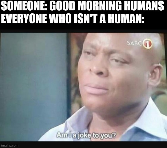 Am I a joke to you? | SOMEONE: GOOD MORNING HUMANS
EVERYONE WHO ISN'T A HUMAN: | image tagged in am i a joke to you | made w/ Imgflip meme maker
