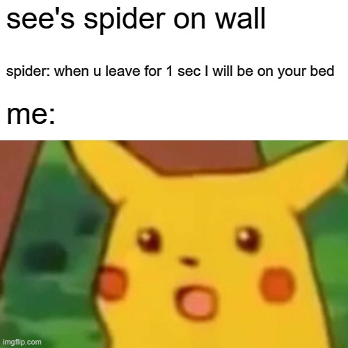 spider | see's spider on wall; spider: when u leave for 1 sec I will be on your bed; me: | image tagged in memes,surprised pikachu | made w/ Imgflip meme maker