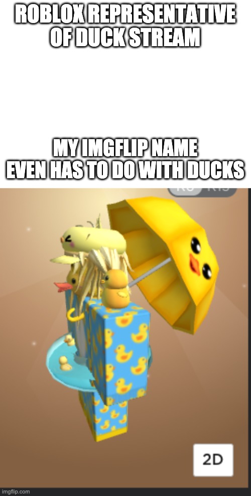 not asking for moderator but it would be nice lol ;) |  ROBLOX REPRESENTATIVE OF DUCK STREAM; MY IMGFLIP NAME EVEN HAS TO DO WITH DUCKS | image tagged in blank white template,duck,roblox | made w/ Imgflip meme maker
