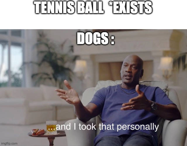 They only last a day or two | TENNIS BALL  *EXISTS; DOGS : | image tagged in and i took that personally,lol,funny,memes,funny memes | made w/ Imgflip meme maker