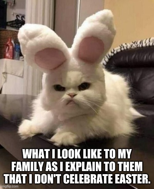 Bad Bunny | WHAT I LOOK LIKE TO MY FAMILY AS I EXPLAIN TO THEM THAT I DON'T CELEBRATE EASTER. | image tagged in easter,pagan,xtrian,holiday humor,leave me alone | made w/ Imgflip meme maker