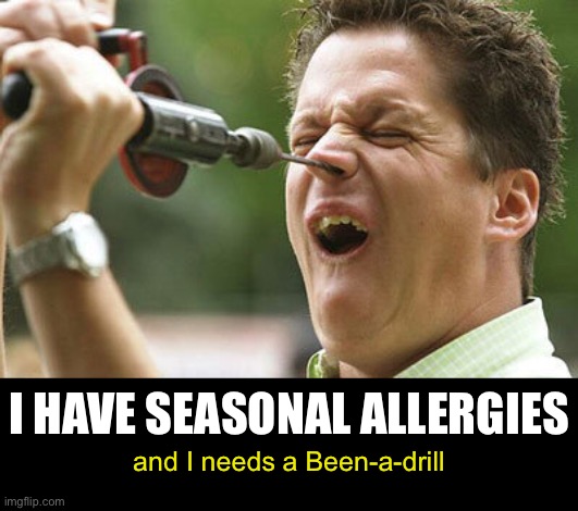 and I needs a Been-a-drill I HAVE SEASONAL ALLERGIES | made w/ Imgflip meme maker